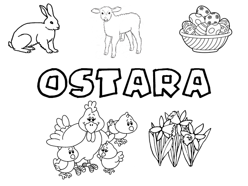 Ostara Collection – Little Pagan Acorns